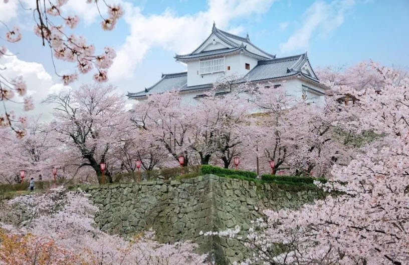 Tsuyama Castle, Japan